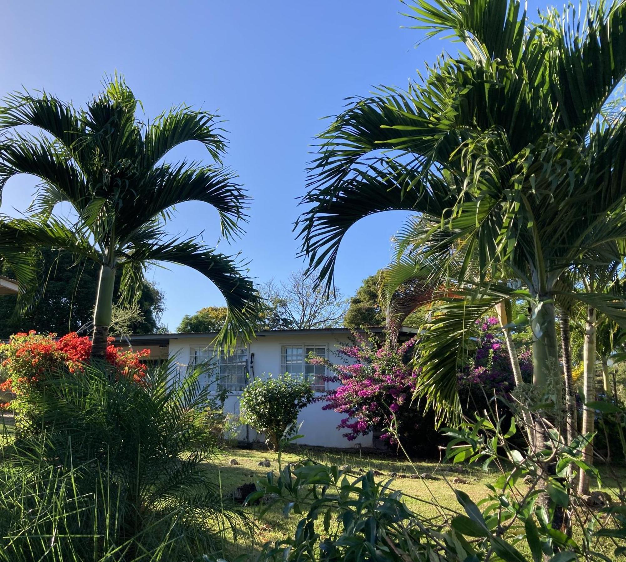 普拉亚科罗纳多La Maracuya Panama住宿加早餐旅馆 外观 照片