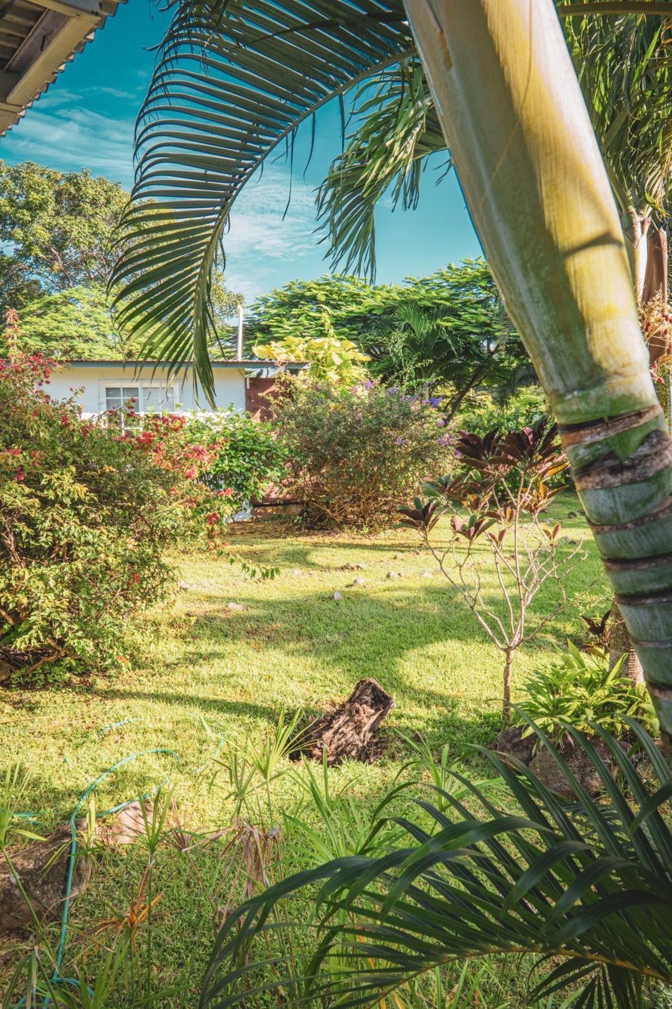 普拉亚科罗纳多La Maracuya Panama住宿加早餐旅馆 外观 照片